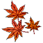 leaves.gif (2897 bytes)